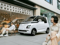 上汽通用五菱Air ev