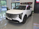 �L(zh��ng)��CS55 PLUS