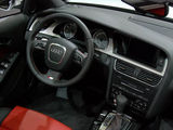 2010 3.0T S5 Cabriolet-8ͼ