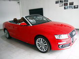 2010 2.0TSI Cabriolet-4ͼ