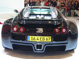 2004 Coupe 8.0T-4ͼ