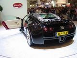 2004 Coupe 8.0T-2ͼ