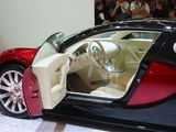 2004 Coupe 8.0T-3ͼ