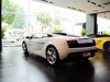 2010 Gallardo 5.2 LP550-2 ׼-17ͼ