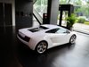 2010 Gallardo 5.2 LP550-2 ׼-6ͼ