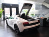 2011 Gallardo 5.2 LP550-2 Tricolore-135ͼ