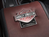 2010 Harley-Davidson-2ͼ