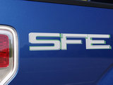 2009 SFE-1ͼ