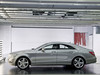 2012 CLS CLS 300 CGI-30ͼ