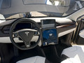 Model X