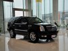 2010 ׵ESCALADE 6.0 Hybrid-6ͼ