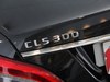 2012 CLS CLS 300 CGI-195ͼ