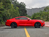 2015 Mustang 2.3T 50-7ͼ