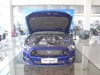 2016 Mustang 5.0L GTܰ-51ͼ