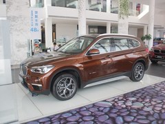 X1 xDrive20Li 