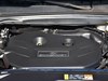 2017 ţ EcoBoost 325 V6 LTD-192ͼ