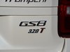 2017 GS8 320T -29ͼ