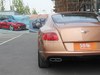 2014 ŷ½ GT V8 S ׼ -49ͼ
