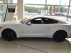 2017 Mustang 2.3T ܰ-8ͼ
