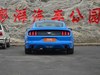 2017 Mustang 2.3T ܰ-14ͼ