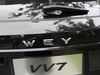 2017 WEY VV7 VV7s 콢-87ͼ