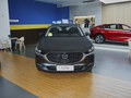 R_CX-30^