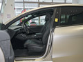Model Y Lg