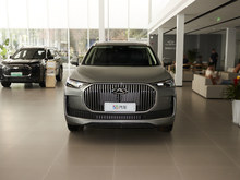 2025 9 C-DM 1.5T 106KM 5