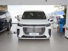 2025 D PHEV FHi