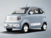 2025 222km `R