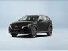 2025 2.0L Ԅ(dng)(q)Pro