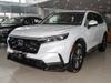 2024 240TURBO (q)I(lng) 5