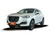 2019 (gu) 1.5T i (gu)VI