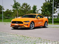 2019 Mustang 5.0L V8 GT