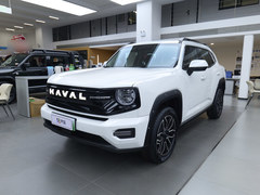 哈弗二代大狗新能源
