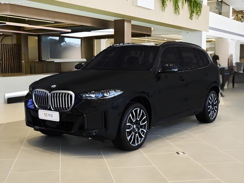 2023 RX5 xDrive 30Li M\(yn)(dng)ҹb