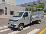 雷驰·仁T30