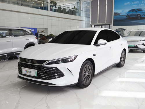2024 L DM-i 120KM׿Խ