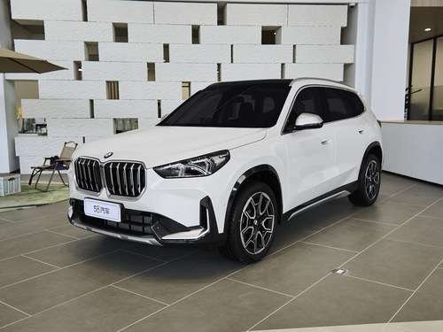 2023 RX1 xDrive25Li M\b