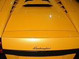 Murcielago 2004款  E-Gear 6.2 AT_高清图7