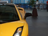 Gallardo 2004款  5.0 MT_高清图12