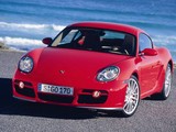 Cayman 2005款 保时捷 S MT 3.4_高清图31