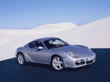 Cayman 2005款 保时捷 S MT 3.4_高清图33