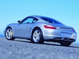 Cayman 2005款 保时捷 S MT 3.4_高清图2