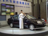 赛豹III 2005款  1.6标准型_高清图11