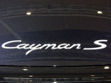 Cayman 2005款 保时捷 S MT 3.4_高清图33