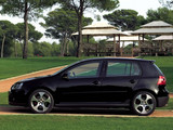 高尔夫(进口) 2006款 高尔夫（进口） GTI 2.0T 五门版_高清图14