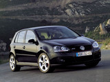 高尔夫(进口) 2006款 高尔夫（进口） GTI 2.0T 五门版_高清图10