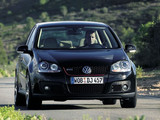 高尔夫(进口) 2006款 高尔夫（进口） GTI 2.0T 五门版_高清图7