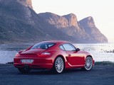 Cayman 2005款 保时捷 S MT 3.4_高清图25